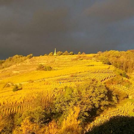 Wine Passion Panoramic Hotell Chavanay Eksteriør bilde