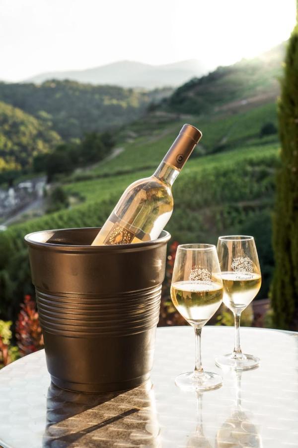Wine Passion Panoramic Hotell Chavanay Eksteriør bilde